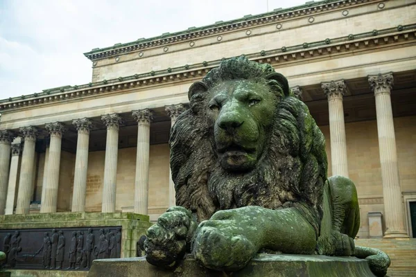 Estátua Leão Liverpool World Museum Com Edifícios Históricos Inglaterra Reino — Fotografia de Stock