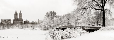 Central Park winter clipart