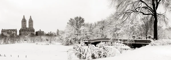 Central park zima — Stock fotografie