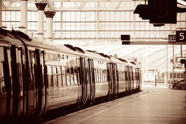 trainon platformu