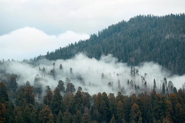 Berg met mist — Stockfoto