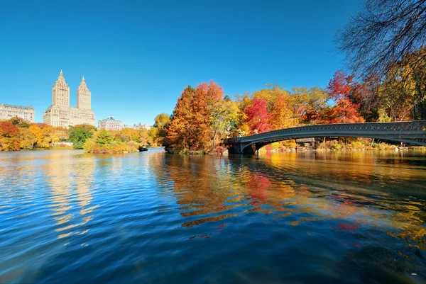 Central park hösten — Stockfoto