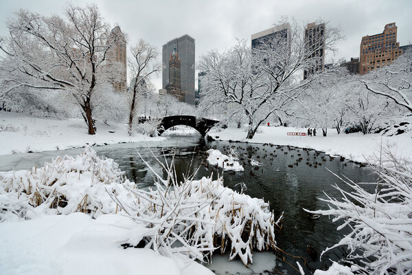 Central Park winter with skyscrapers and bridge in midtown Manhattan New York City