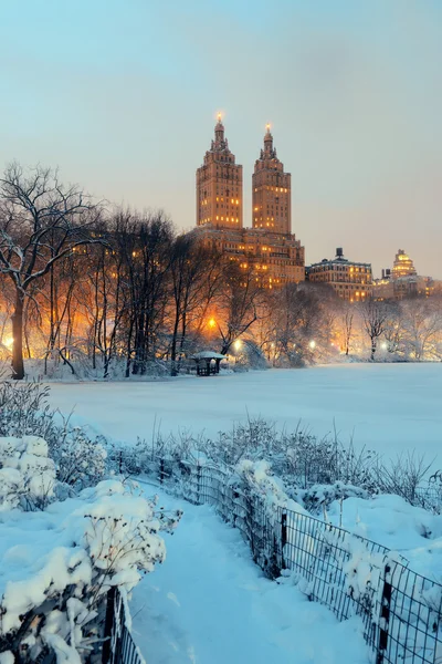 Central Park winter — Stock Photo, Image