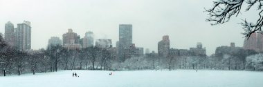 Central Park'a kış
