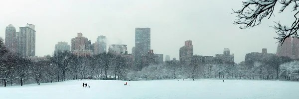 Central Park invierno — Foto de Stock