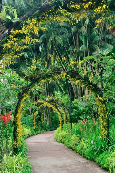 Singapore — Stock Photo, Image