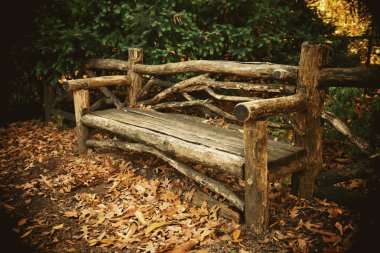 Central Park'a sonbahar