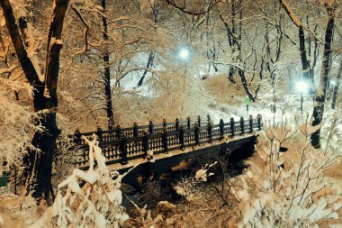 Central Park'a kış