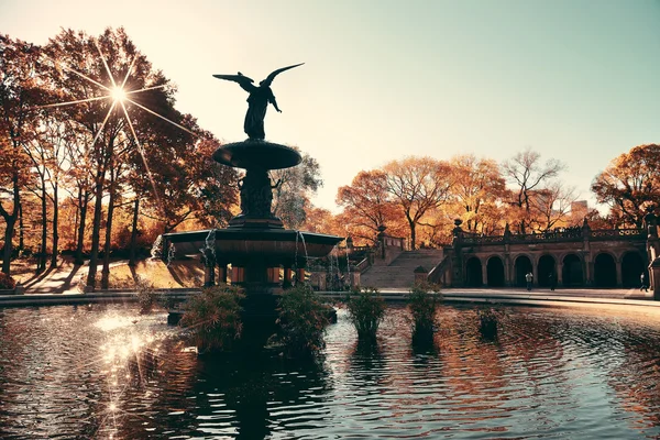 Central park hösten — Stockfoto