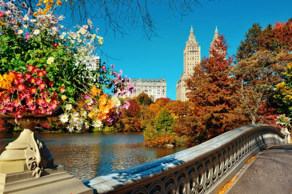 Central Park'a sonbahar — Stok fotoğraf