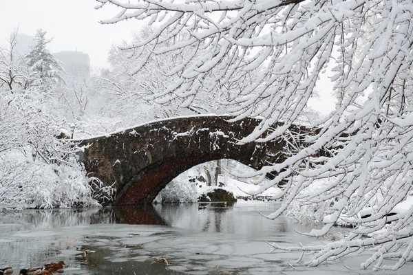 Zentralpark-Winter — Stockfoto