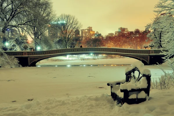 Центральний парк зимові — стокове фото