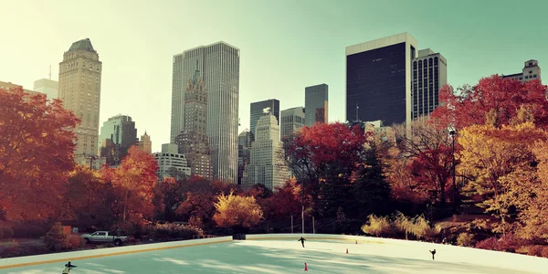 Central Park'a sonbahar