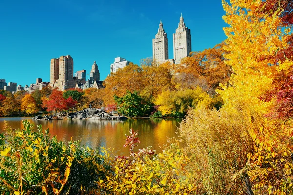 Central park hösten — Stockfoto