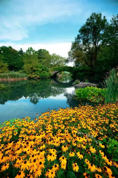 Central park wiosny — Zdjęcie stockowe