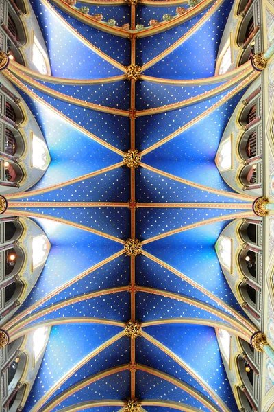 Ottawa Basilique Notre-Dame — Photo