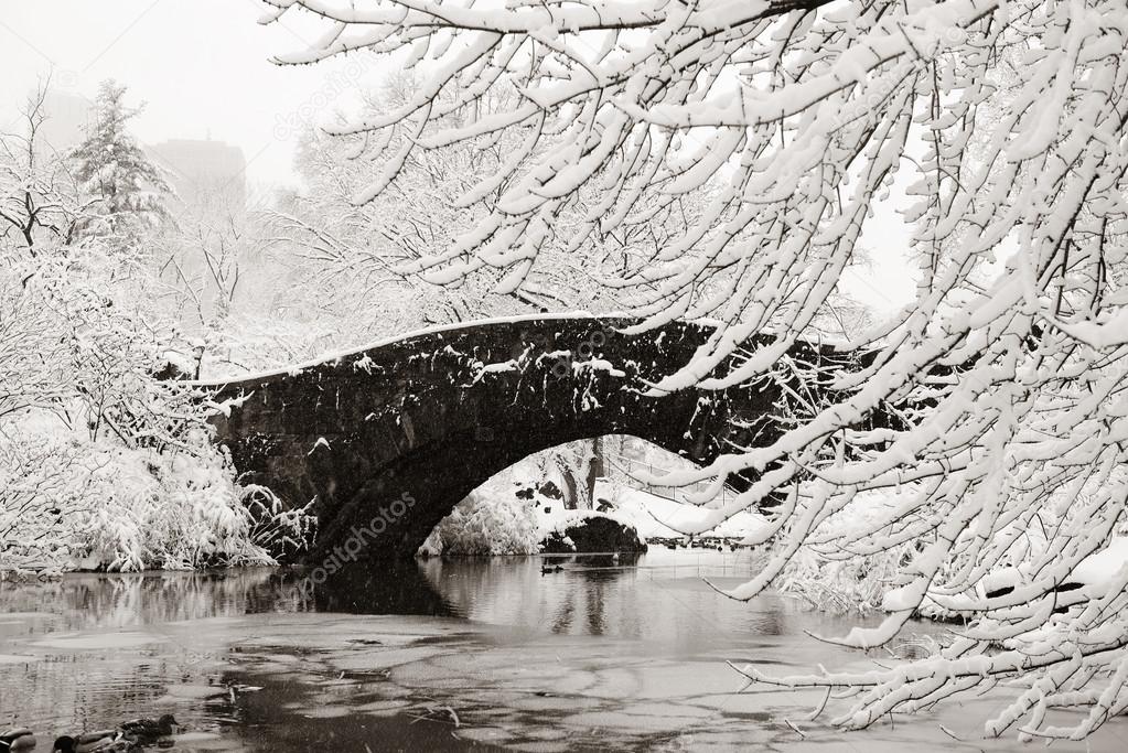 Central Park winter