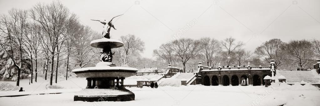 Central Park winter