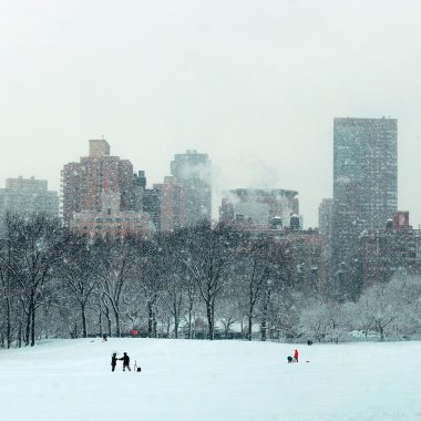 Central Park'a kış