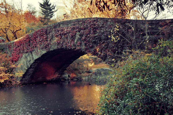 Central Park Automne — Photo