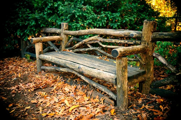 Parque central outono — Fotografia de Stock