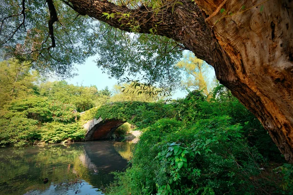 中央公園春 — ストック写真