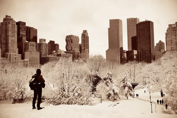 Central park vinter — Stockfoto