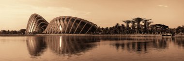 Singapur