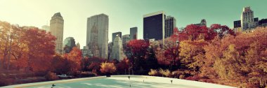 Central Park'a sonbahar