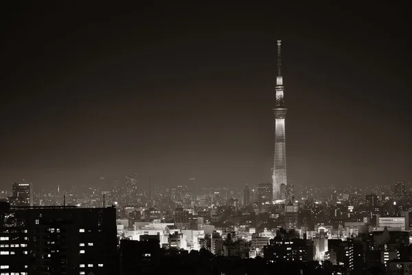 東京スカイツリーと都会のスカイライン屋上 — ストック写真