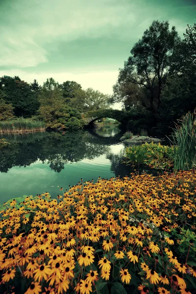 Central park våren — Stockfoto