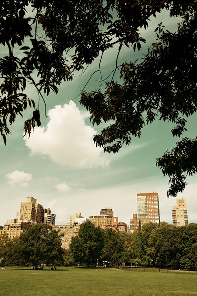 Central Park Spring with skyline in midtown Manhattan New York City