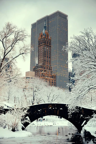 Central park vinter — Stockfoto