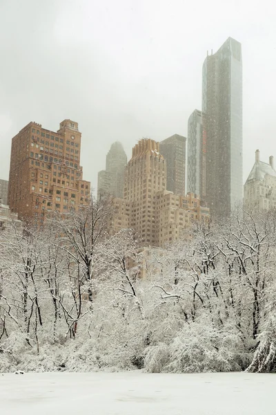 Central park zima — Stock fotografie