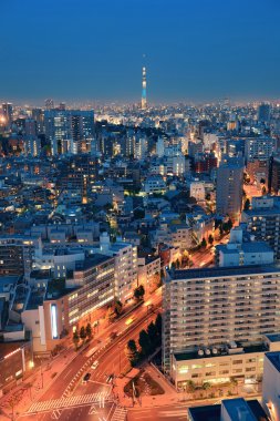 Tokyo çatı