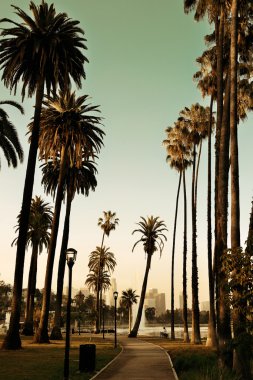 Los angeles şehir merkezinde