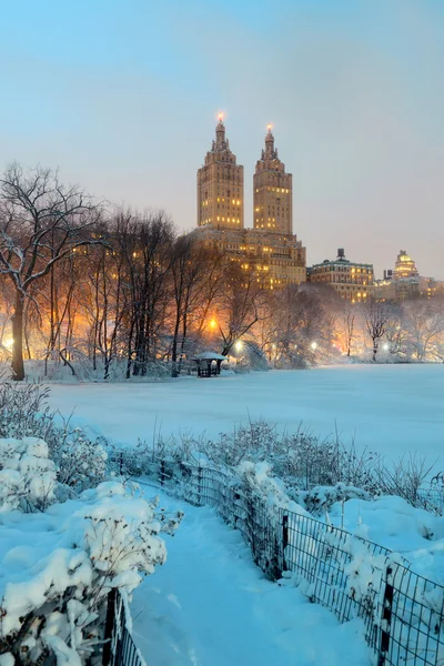 Central Park winter — Stockfoto