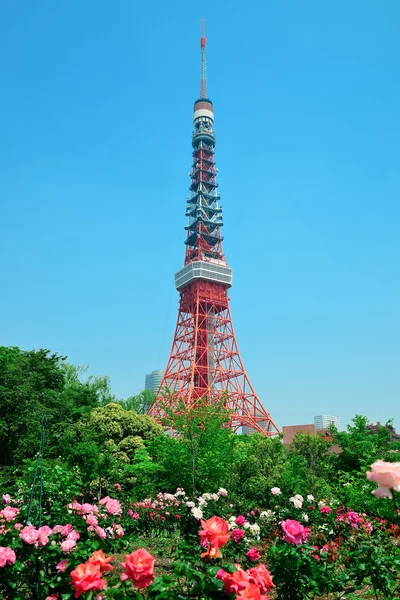 Tokyo Tower. Japan. — Stock Photo, Image