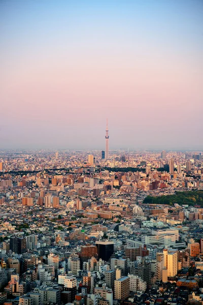 Крыша Токио — стоковое фото