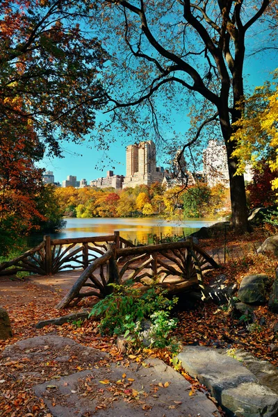 Central Park Autumn — Stock Photo, Image