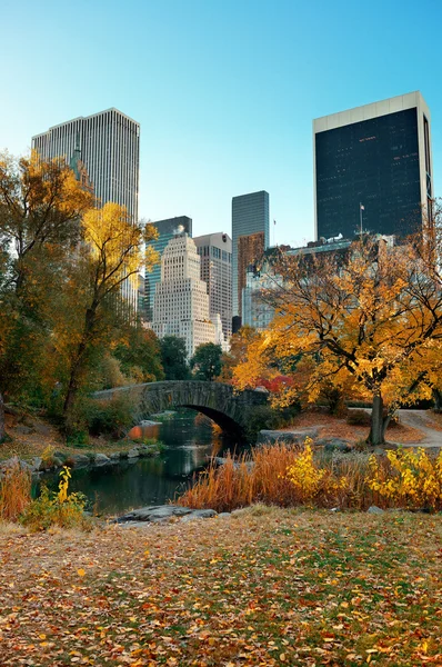 Central park herfst — Stockfoto