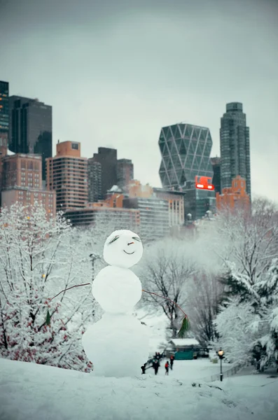 中央公園の冬 — ストック写真