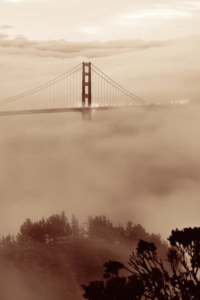 Ponte portão dourado — Fotografia de Stock