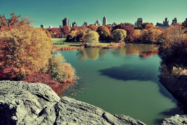 Central Park Autunno — Foto Stock