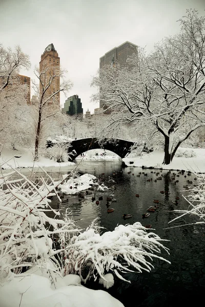 Parque central inverno — Fotografia de Stock