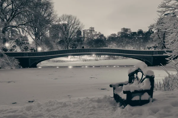 Central Park winter — Stockfoto