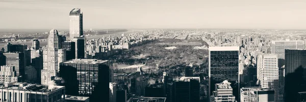 Central park vinter — Stockfoto