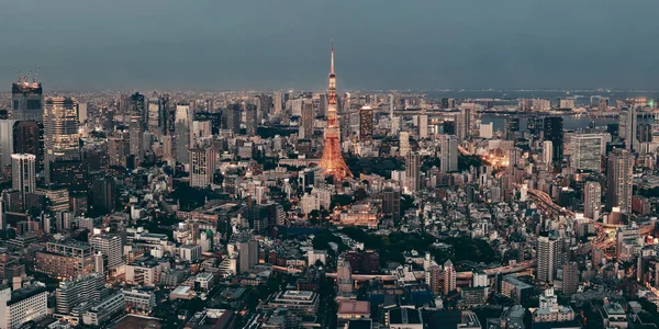 Tokyo Kulesi ve şehir manzarası — Stok fotoğraf