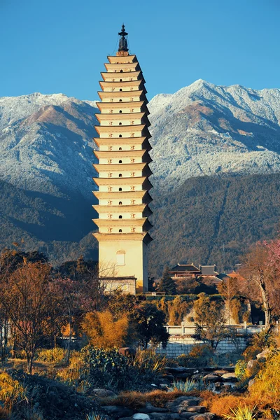 Dali pagoda — Stock Photo, Image